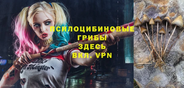 кристаллы Дмитров