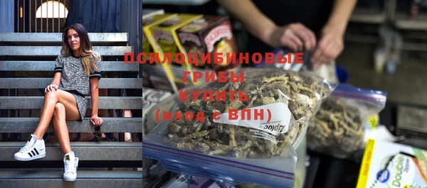 ешки Дмитровск
